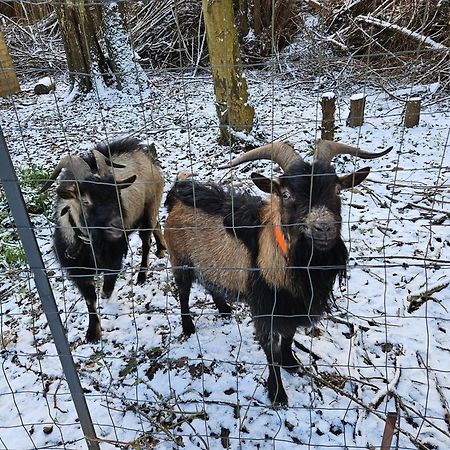 Cabane 5Km Etretat Villainville Εξωτερικό φωτογραφία